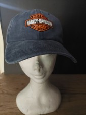 Harley davidson blue for sale  STANLEY