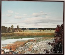 Quadro antonio pedretti usato  Varese