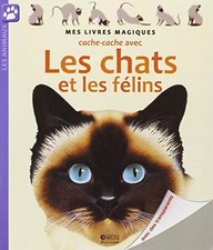 Cache cache chats d'occasion Cache cache chats d'occasion  France