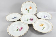 C09l57 suppenteller rosenthal gebraucht kaufen  Neu-Ulm