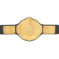 Wwe heavyweight championship for sale  DUNSTABLE