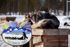 Vtg 1987 alaskan for sale  Willow