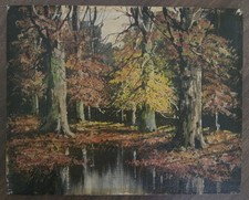 oil painting woods for sale oil painting woods for sale Phoenix