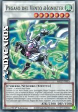 Pegaso del vento usato  Ravenna