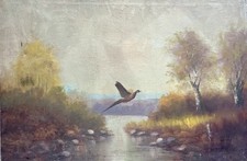 Pheasant flight vintage for sale  SOUTHPORT