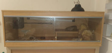 Vivexotic terrestrial vivarium for sale  LEICESTER