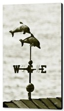 Dolphins weathervane x50 for sale  High Point