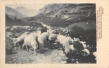 Al19 cartolina versi usato  Lugo
