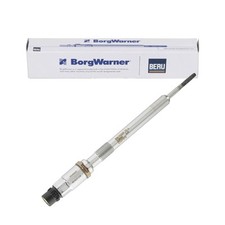 Beru borgwarner psg d'occasion  Expédié en France