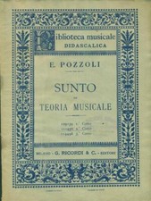Sunto teoria musicale. usato  Italia