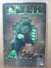 Cartaz original do personagem de desenho animado Marvel The Hulk 2003 15101, usado comprar usado  Enviando para Brazil