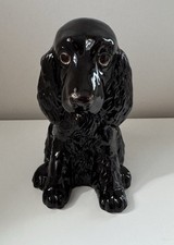 Black cocker spaniel for sale  SPENNYMOOR