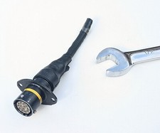 D04 deutsch female for sale D04 deutsch female for sale  UK