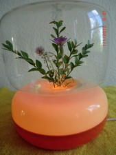 lampe bluten gebraucht kaufen lampe bluten gebraucht kaufen Kaltenkirchen
