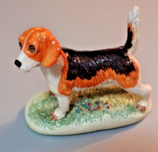 Basil matthews beagle for sale  Colorado Springs