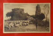 Cartolina viaggiata 1922 usato  Cervaro