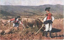 Nuoro oliena costumi usato  San Germano Vercellese