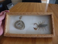Scorpion vipere sable d'occasion  Bordeaux-