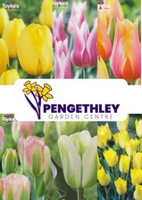 Tulip bulbs varieties for sale  ROSS-ON-WYE