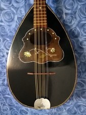Mandola tedesca meinel usato  Avezzano