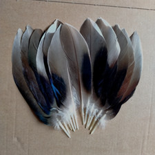 Fly tying native for sale  UK