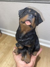 Rottweiler pup sandicast for sale  San Jose