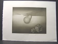 Landschaft 1984 radierung gebraucht kaufen  Berlin