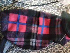 coat small dog for sale coat small dog for sale Mount Airy