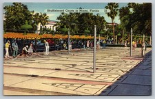 Vintage shuffleboard courts for sale  Batavia