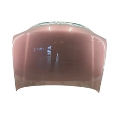 Cofano anteriore 651001f530 usato  Zoppe di Cadore