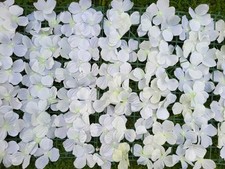 Artificial flowers trellis for sale  WHITSTABLE