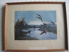 Vintage peter scott for sale  ANDOVER
