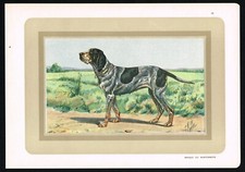 Antique braque wurtemberg for sale  Shipping to United Kingdom