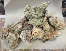 Marine aquarium living for sale  BURY ST. EDMUNDS