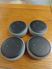 Four grey amazon for sale  Lincoln