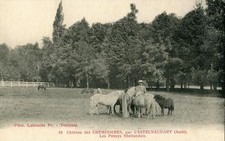 Cpa chateau cheminieres d'occasion  Claira