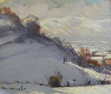 Metello merlo paesaggio usato  Casteggio