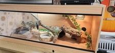 Foot complete vivarium for sale  LIVERPOOL