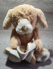 Peekaboo puppy talking for sale  DEWSBURY