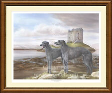 Deerhounds limited edition for sale  CANNOCK