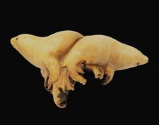 Sea lions seal for sale  Arvada