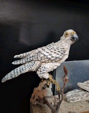 Presepe napoletano grifonfalco usato  Napoli