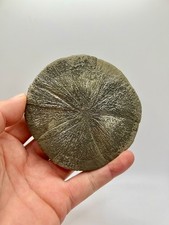 4.25 perfect round for sale  Sparta