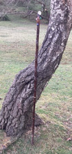 unique walking canes for sale unique walking canes for sale EASTLEIGH
