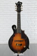 Gold tone acoustic for sale  Fort Wayne