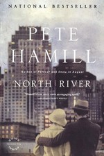 North river novel for sale  El Dorado