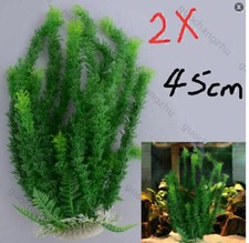 Plantes aquarium plantes d'occasion  France