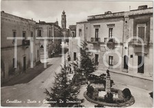 Cavallino busto giuseppe usato  Polcenigo