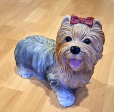 Bezaubernde yorkshire terrier gebraucht kaufen  Bochum