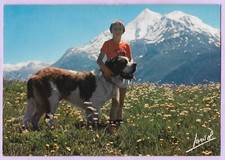 Cpsm chien saint d'occasion  Sabres